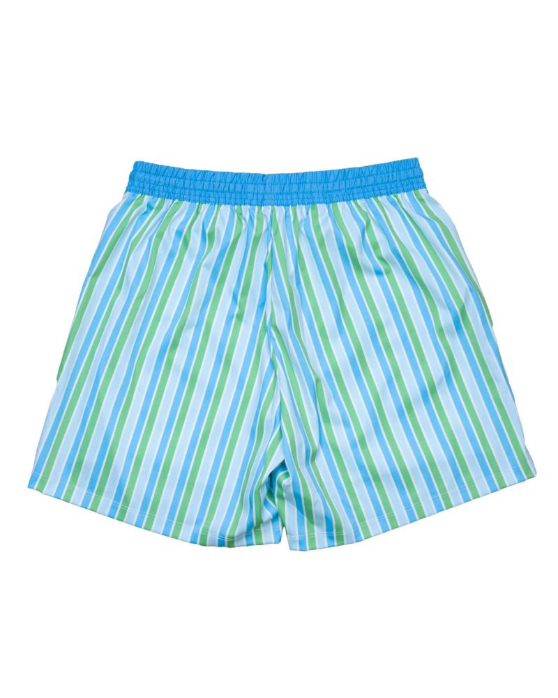 mensbluegreenstripedtrunks back 8c754e29 3221 4ccb b5cd 82241650f67f